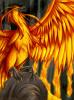 Fawkes